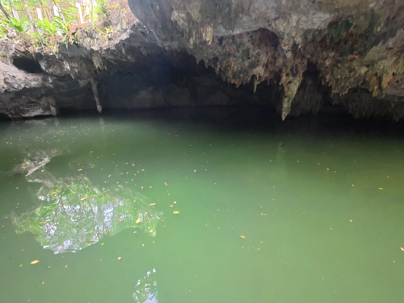 Jade Cavern cenote swim